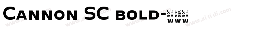 Cannon SC bold字体转换